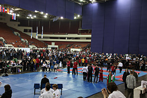 Олимпиада проходила в большом спортивно-концертном комплексе